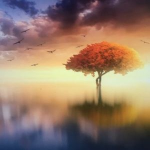 Meet your Posher, Mccarty